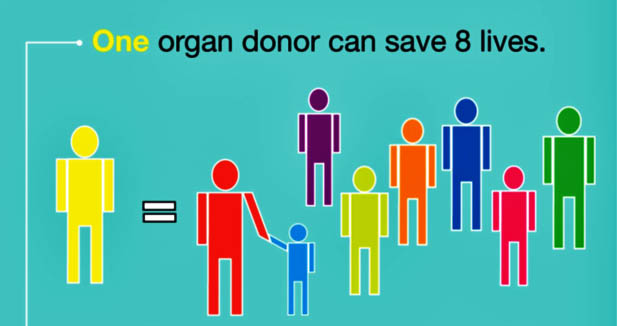 one-organ-donor-eight-lives.jpg